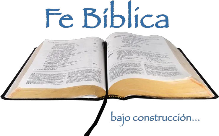 Download Hd Open Bible Transparent Png Document Open Bible Png
