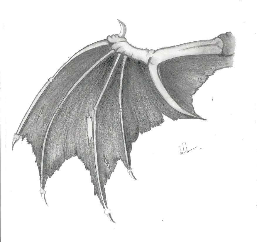 Dragon Wings Transparent Images Transparent Dragon Wings Png Wings Png Transparent