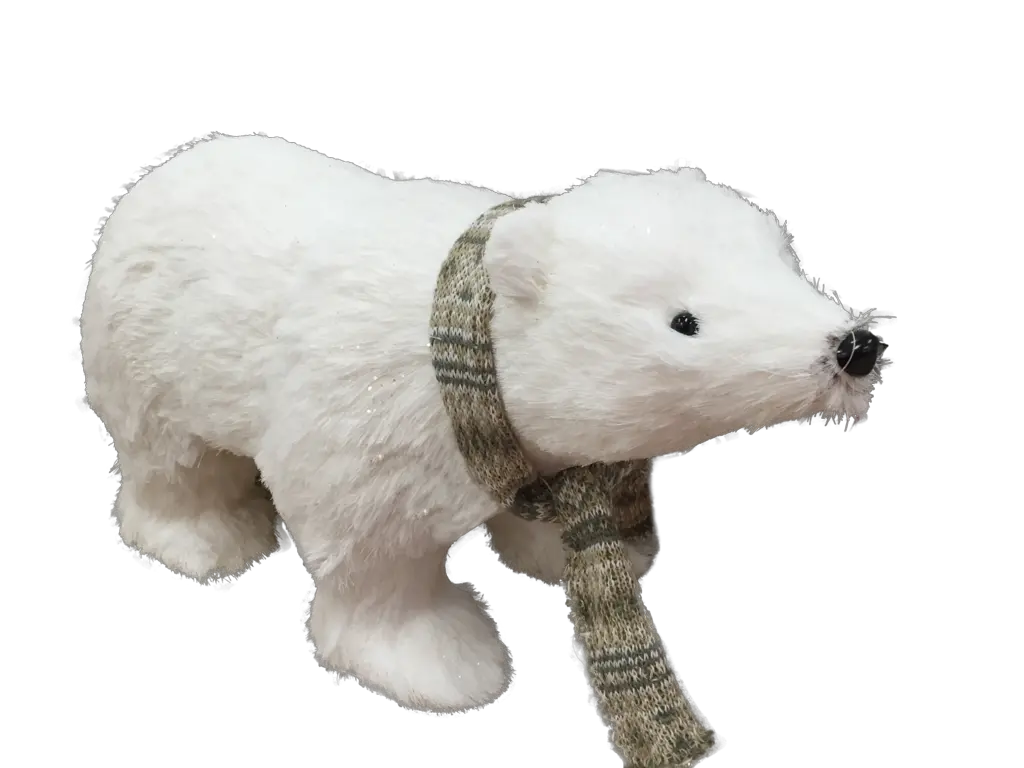 Polar Bear Png Transparent Images Bears Polar Bear Png