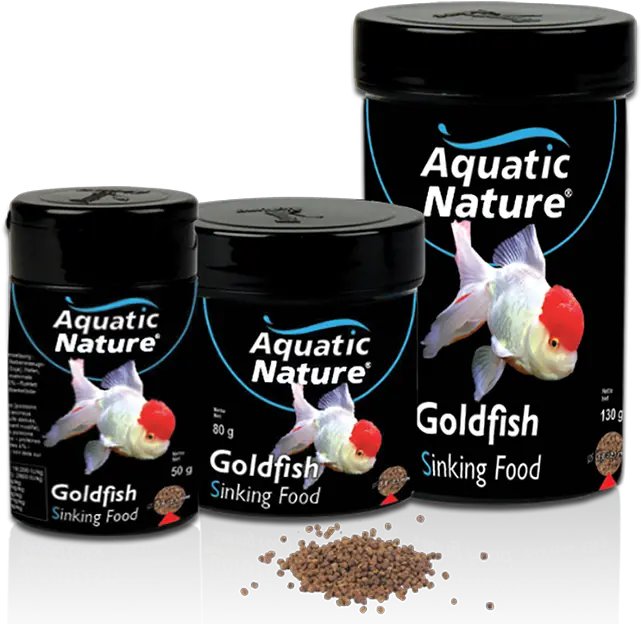 Goldfish Sinking Food Aquatic Nature Aquatic Nature Png Goldfish Transparent