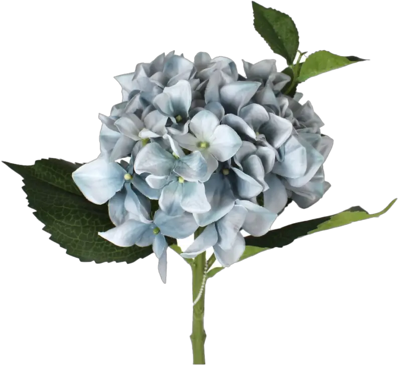 Hydrangea Png Image Mart Bouquet Hydrangea Png