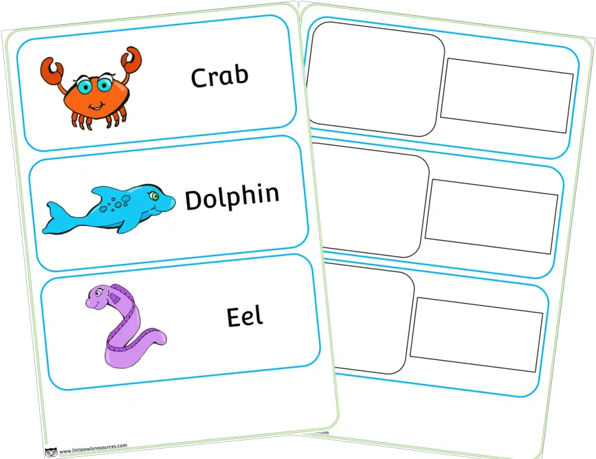 Sea Animals Printable Early Years Sea Animals Words Png Under The Sea Png