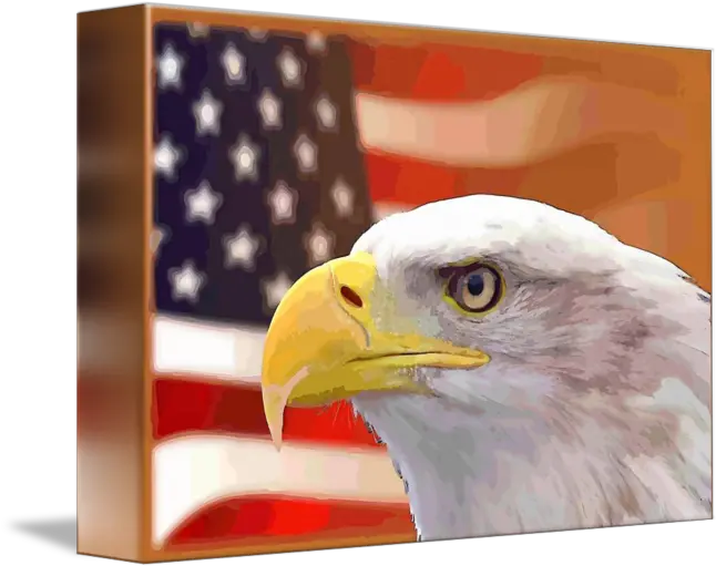 Usa Flag Eagle By Rogue Art American Png American Flag Eagle Png