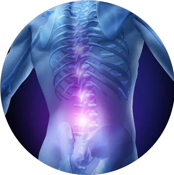 Low Back Pain Relief Fayetteville Nc Valley Physical Medicine Digital X Ray Body Png Pain Png