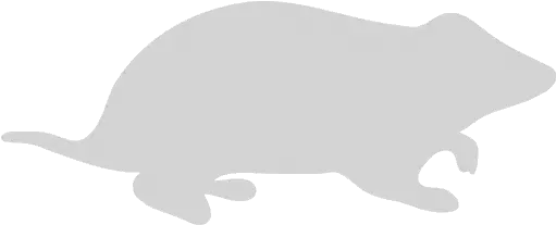 Light Gray Hamster Icon Marsupial Png Tail Light Icon