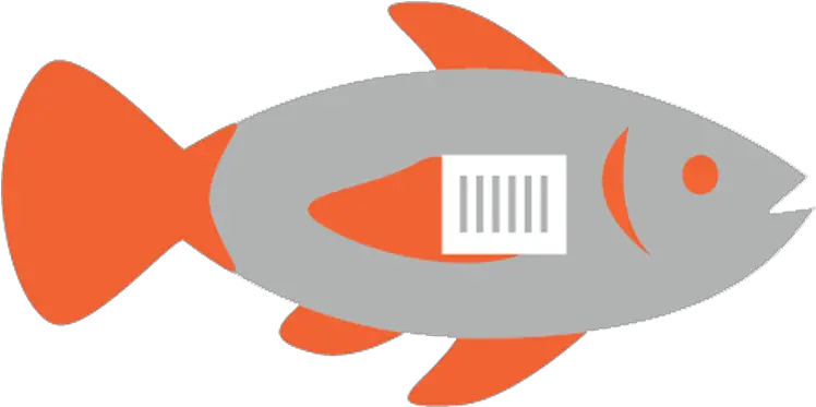 Traceability Seafood Fish Png Fish Icon Vector