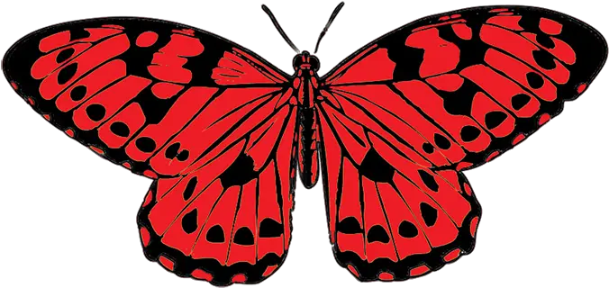 Red And Black Butterfly Png Transparent Red Butterfly Clipart Butterfly Png Clipart