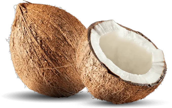 Coconut Png File Download Free Spell Coconut With Your Waist Meaning Coconut Png