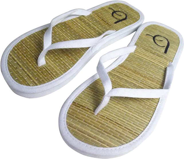 Download Flip Flops Full Size Png Image Pngkit Flip Flops Png