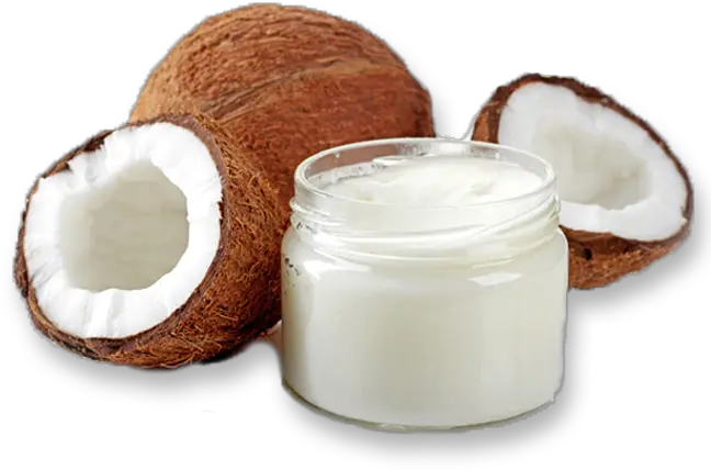 Coconut Transparent Coconut Oil Transparent Background Png Coconut Transparent