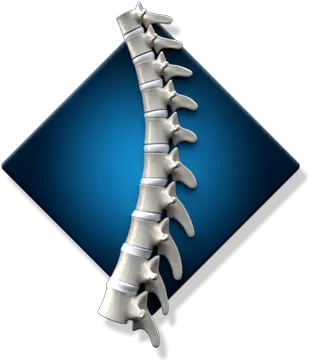 Chiropractic Care Lewes Dr Frank Mrazeck Vertical Png Spine Icon