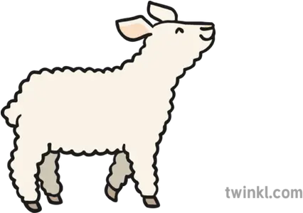 Little Lamb Illustration Twinkl Little Billy Goat Gruff Png Lamb Png