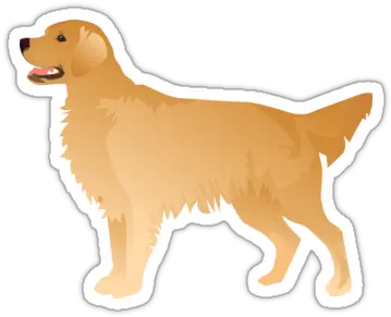 Golden Retriever Basic Breed Silhouette Dog Stickers Golden Retriever Png Golden Retriever Transparent