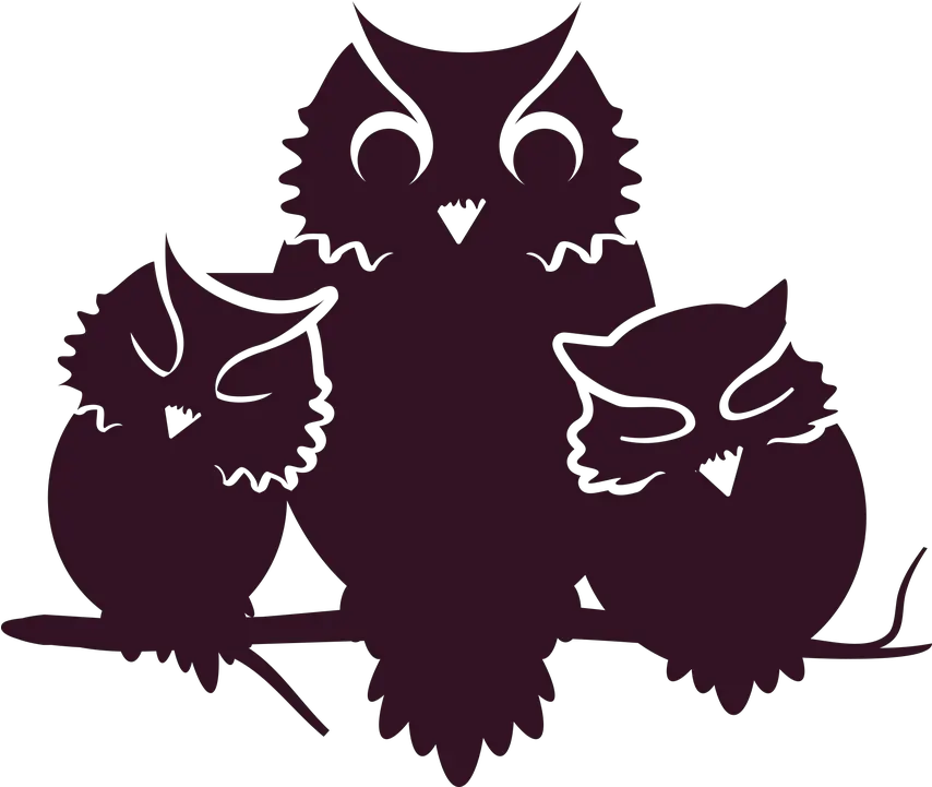 Owl Owlets Baby Free Vector Graphic On Pixabay Halloween Owl Silhouette Png Baby Silhouette Png