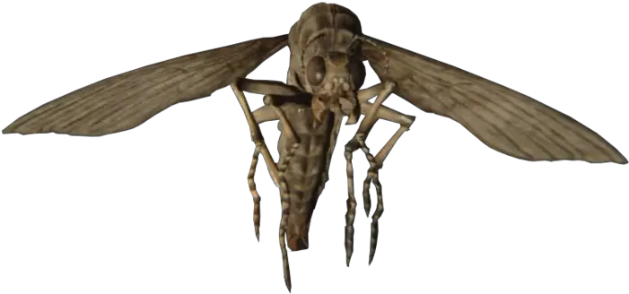 Dead Fly Png Resident Evil 7 Insects Png Resident Evil 7 Png