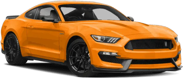 New 2019 Ford Mustang Shelby Gt350r Ford 2019 Mustang Gt Png Mustang Png