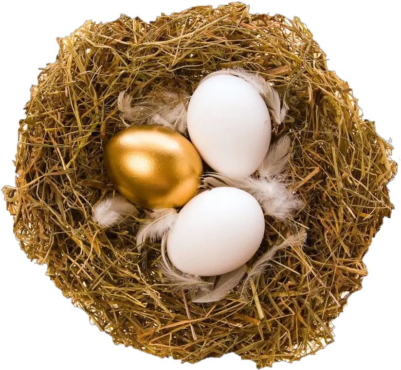 Download Quail Bird Nest Egg Golden Egg Necklace Paskalya Altn Yumurta Png Bird Nest Png