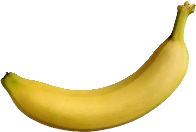 15 Bananas Transparent High Quality For Banana Image Download Hd Png Banana Transparent