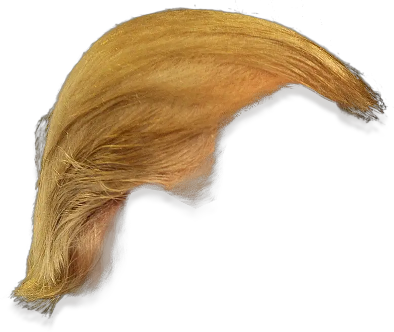 Trump Hair Png Hd Pictures Vhvrs Donald Trump Hair Only Trump Png