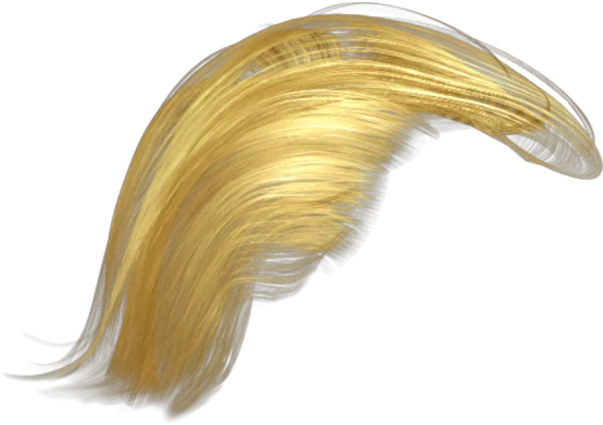 Donald Trump Hair Png Transparent Donald Trump Hair Transparent Background Donald Trump Hair Png