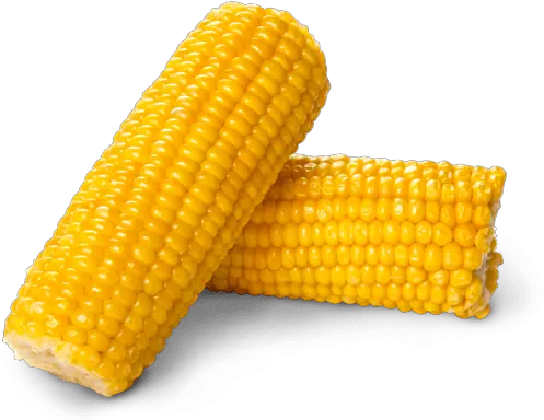 Corn Png Background Image Corn Png Corn Transparent Background