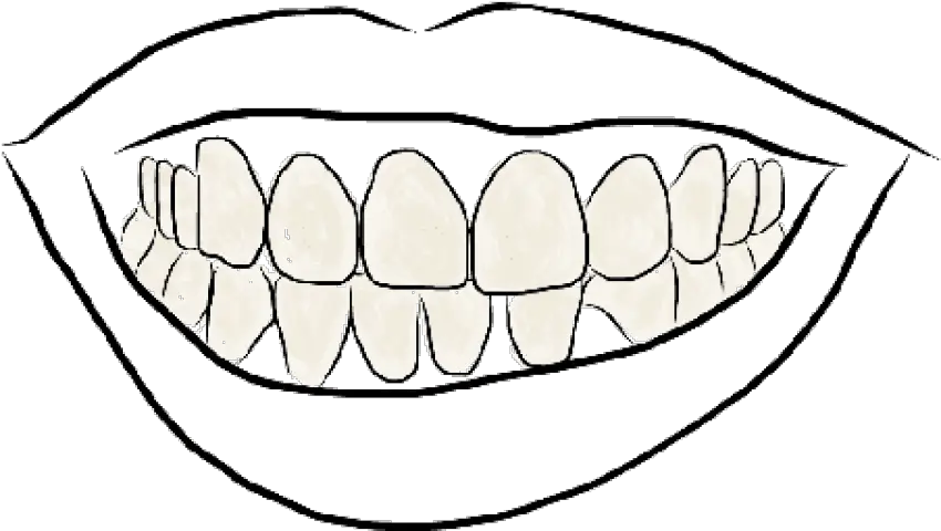 Outline Image Of Teeth Png Images Teeth Images Of Outline Teeth Png