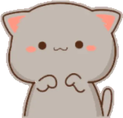 Sticker Maker Mochi Catme Mochi Cat Gif Png Funny Cat Icon