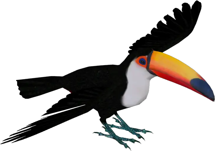 Toucan Png Toco Toucan Png Toucan Png