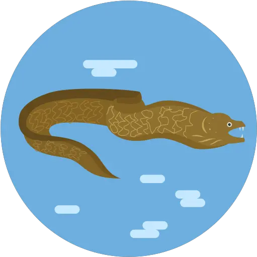 Sea Animal Eel Fish Eels Free Icon Fontana Del Nettuno Png Sea Serpent Icon