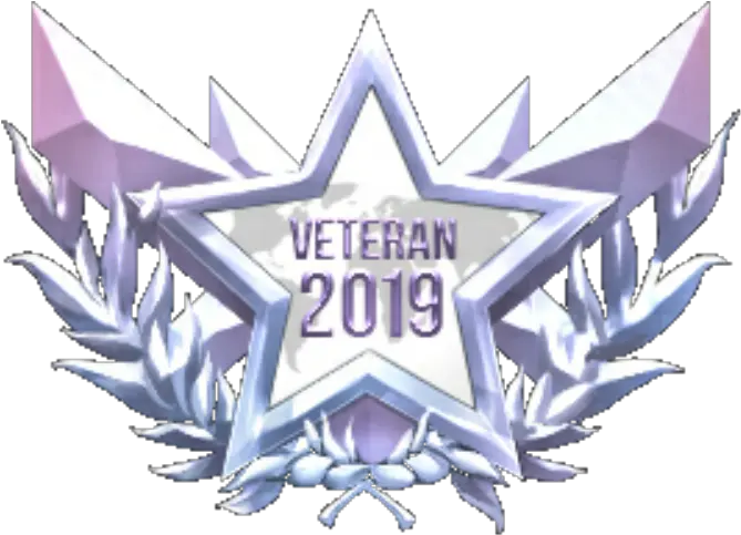 Veteran Medals Standoff 2 Png 2 Png