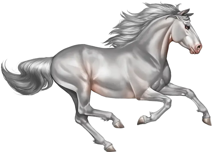Index Of Running White Horse Png Horses Png