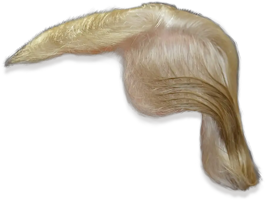 Donald Trump Hair Png Transparent 3 Trump Wig Png Transparent Donald Trump Hair Png