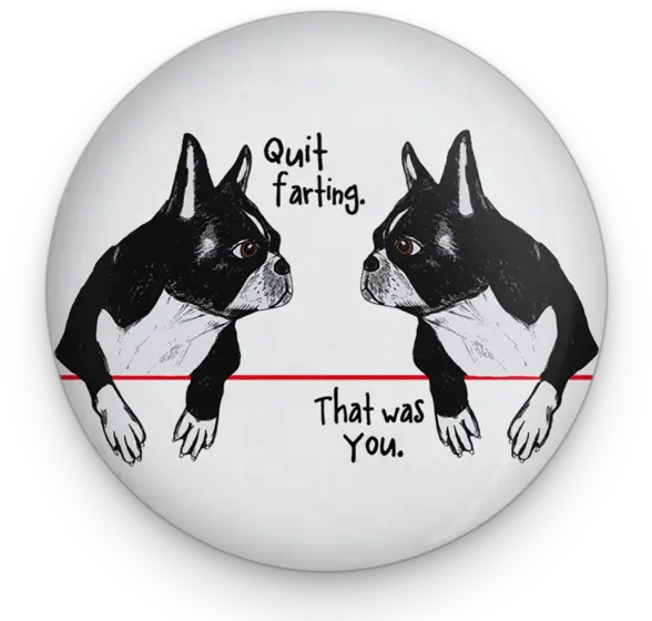 Farting Boston Terriers Magnet Boston Terrier Png Boston Terrier Png