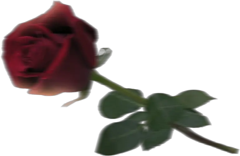 Fire Concept Editing Hd Background U0026 Png Free Download For Vijay Mahar Background Rose Fire Eyes Png