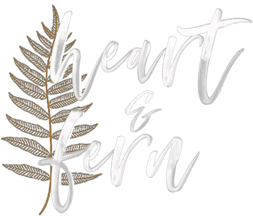 Heart U0026 Fern San Antonio Wedding Photographer Ostrich Fern Png Fern Png