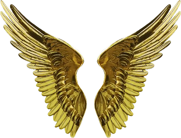 Angel Wings Transparent Png Gold Angel Wings Png Angel Halo Transparent Background