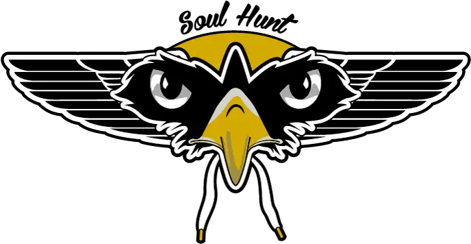 Sole Hunt Logo Bald Eagle Png Eagle Logo Transparent
