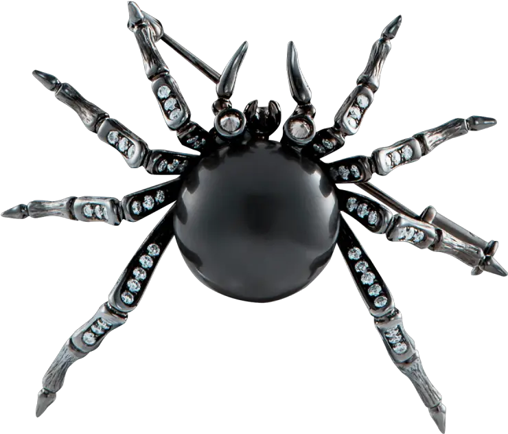 Black Pearl Diamond Brooch Araneus Cavaticus Png Spider Transparent