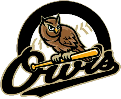 Team Home Windsor C Forest City Owls Png Owl Logo