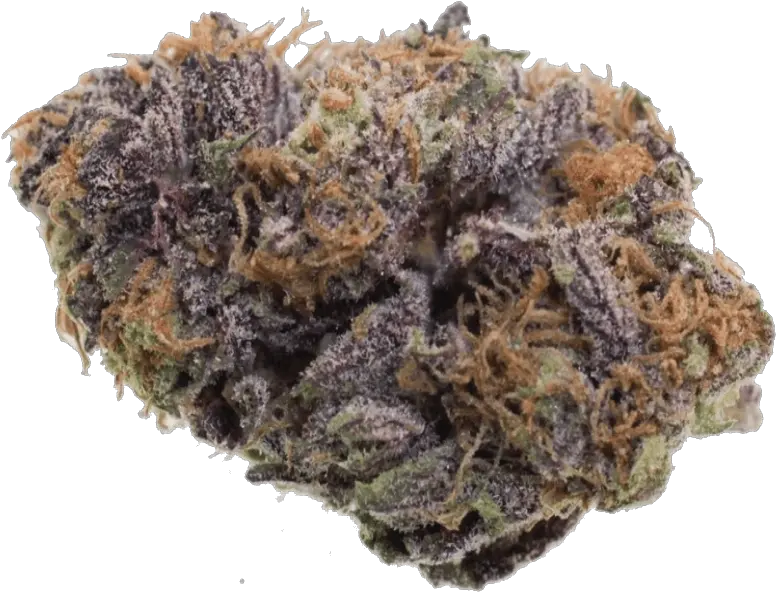 Buy Purple Haze Strain Online Grand Daddy Purple Uk Png Haze Png