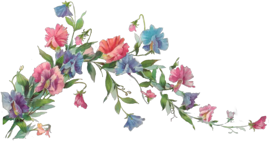 Floral Transparent Png Clipart Vectors Vine With Flowers Painting Floral Transparent
