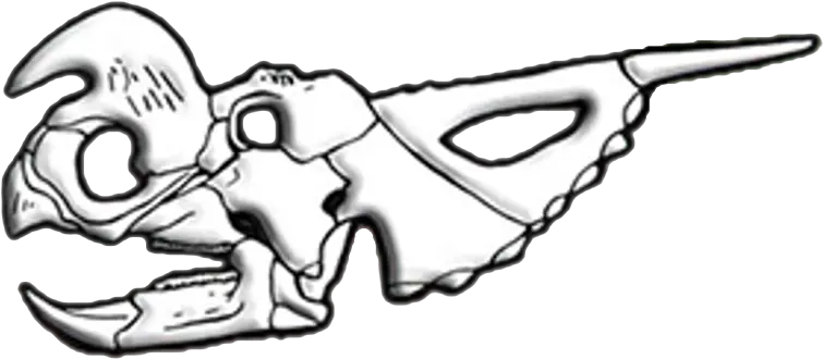 Fileeiniosaurus Skull Diagrampng Wikimedia Commons Sketch Skull Drawing Png
