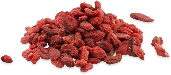 Wholesale Goji Berries For Trade Orders Supernutrients Food Png Berry Png