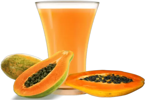 Hirts Gardens Tainung Papaya Tree Papaya Juice Image Png Papaya Png