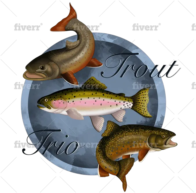 Draw You A Fish Logo Design By Nafeysart Coastal Cutthroat Trout Png Fish Logo
