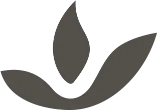 Contact Switch Salon Language Png Pokemon Black Icon
