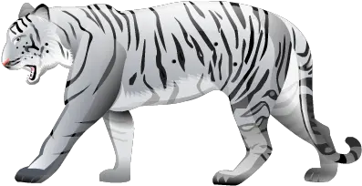 Download White Tiger Free Png Transparent Image And Clipart Bangal Tiger Black And White Tiger Transparent