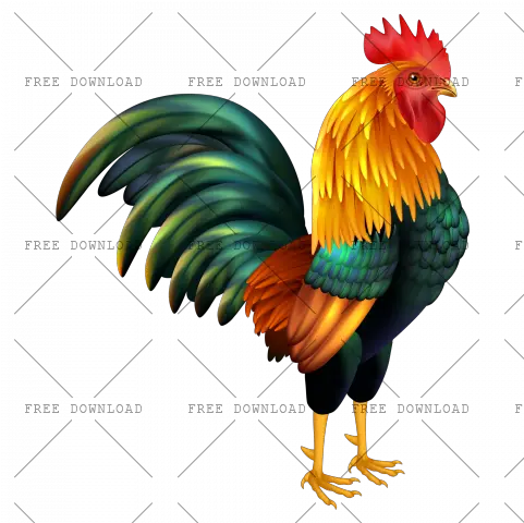 Cock Chicken Rooster Png Image With Transparent Background Feather