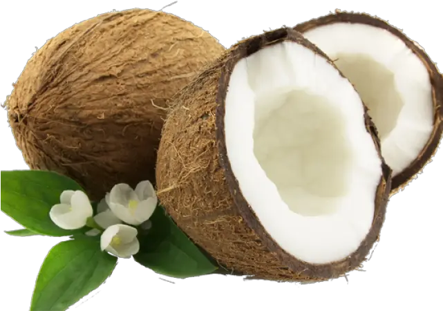 Coconut Png Transparent Images 8 Design Coconut Water Label Coconut Transparent
