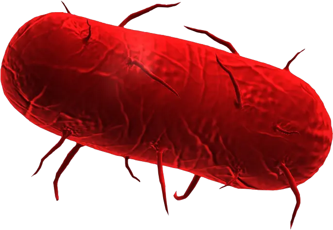 Download Plague Inc Bacteria Plague Inc Bacteria Png Bacteria Transparent Background